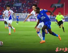 衛济芬队主场连胜，积分上升稳居中游的简单介绍